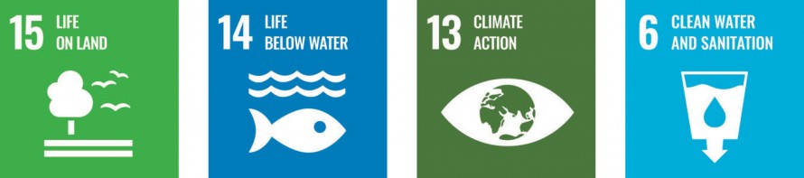 15 Life on land, 14 Life below water, 13 Climate action, 6 Clean water and sanitation