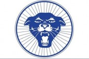 Kingston Panthers WBC logo